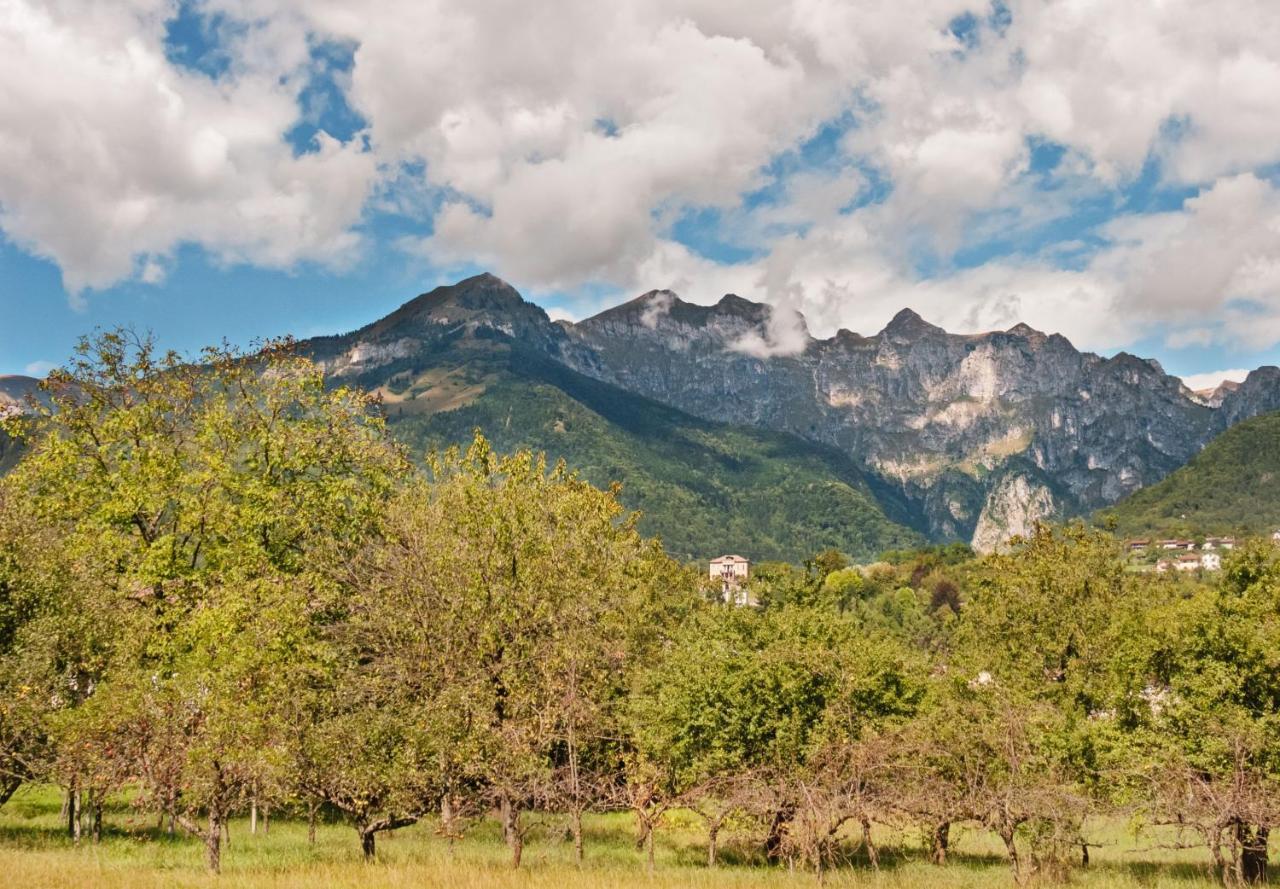 Ferienwohnung App Comfort Dolomiti - Sport Natura Relax Pedavena Exterior foto